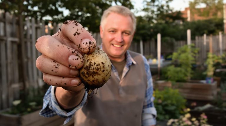 Deze oude groente, geliefd bij onze grootmoeders, maakt weer een verrassende comeback in moderne moestuinen