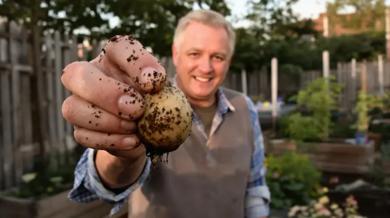 Deze oude groente, geliefd bij onze grootmoeders, maakt weer een verrassende comeback in moderne moestuinen